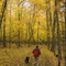 Sylvania Wilderness