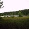 Bee Lake