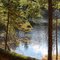 Sylvania Wilderness