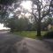 Sun Scene On Greenwich Drive, Georgetown SC 1-10-2009