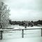 Georgetown Saddle Club snow day
