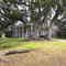 Hobcaw Plantation