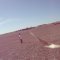 vast field