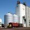 Loading Grain into Covered Hopper Cars at Glasgow, MT
