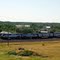 Amtrak's Eastbound Train No. 8, the "Empire Builder" at Glasgow, MT