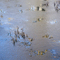 Duxbury Art Complex Museum - Frozen Pond