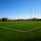 Astroturf