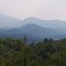 www.AbsolutelyWonderfulCabin.com  - Cabin for rent by owner