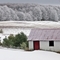 February Frosting