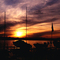 Arbutus Beach Sunset