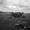 Tractor in Bertram TX