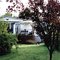 Frontyard