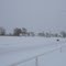 Snow at Steve Haley Park