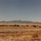 Mount Taylor
