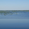 Newnan Lake