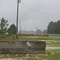 Gainesville Raceway