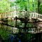 Trail Bridge -- Newnan's Lake Conservation Area