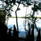 Newnan's Lake