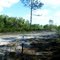 White Trail --Newnan's Lake Conservation Area