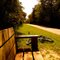 Gainesville - Hawthorne Bicycle Path