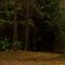 Hunting Area