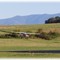 Gatlinburg Airport (GAT)