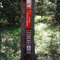 Dascombe Trail marker