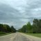 Road to Hartwick Pines State Park