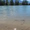 Gorgeous Mountains And Riverside On A Hot 100F (38C) Day Along The Flathead River Near Columbia Falls Montana Jul '13