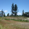 Fort Nisqually - 1833 Site