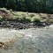 Sea level Spring North of Sequalitchew Creek