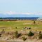 Playing Golf at the Home Course