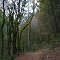 Sequalitchew Trail