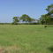 Wranosky Park
