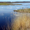 Crex Meadows Wildlife Refuge