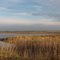 Early Morning at Crex