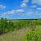 Crex Meadows Wildlife Area