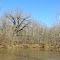 Along Tibbee Creek