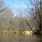 Along Tibbee Creek