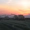 Rice Harvest, Katy, Texas