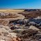 Petrified Forest Badlands