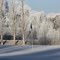 Frozen Green