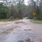 Cattle Guard B on Park Road 1 beteen Bastrop and Buescher State Parks