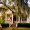 USA, l'entrée de la Plantation de Greenwood avec mousse espagnole dans les arbres