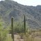 Back country at Estrella Mountian Regional Park