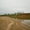 Brazos River Bank