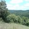 Mountain Side