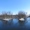 A view from Davis Bridge