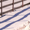 Winter Shadows