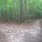 Trail junction